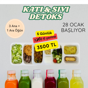 Katı Sıvı Detoks Programı